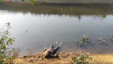 छोटी नहर में वृद्ध का शव मिलने से फैली सनसनी, पुलिस जांच में जुटी