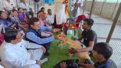 आवारा कुत्तों की नसबंदी अभियान पर पक्ष विपक्ष में घमासान