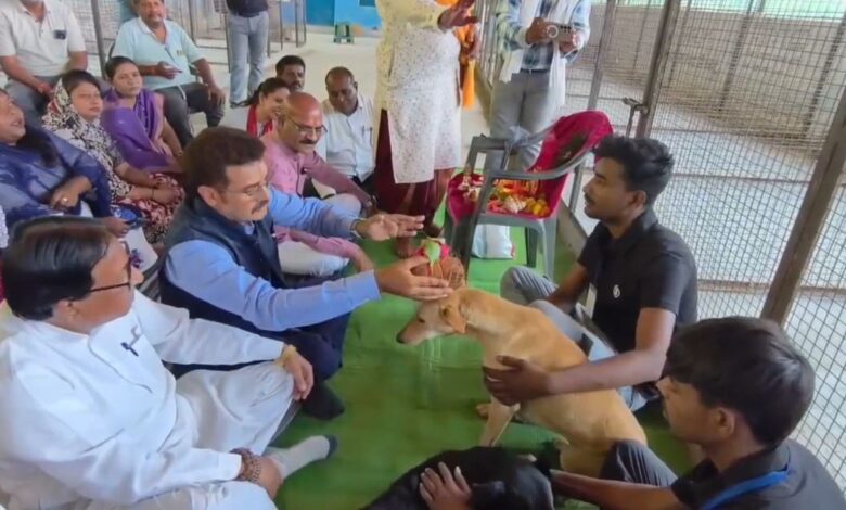 आवारा कुत्तों की नसबंदी अभियान पर पक्ष विपक्ष में घमासान
