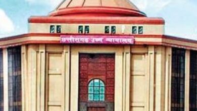 नौकरी में नियमितीकरण, हाई कोर्ट ने याचिका रद्द की नौकरी में नियमितीकरण, हाई कोर्ट ने याचिका रद्द की