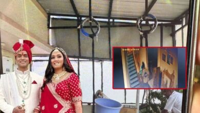 ट्विशा शर्मा की मौत एक पहेली