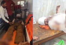 6 भालुओं ने तेंदूपत्ता तोड़ने गए ग्रामीणों पर किया हमला, दो गंभीर