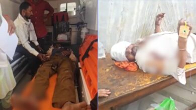 6 भालुओं ने तेंदूपत्ता तोड़ने गए ग्रामीणों पर किया हमला, दो गंभीर