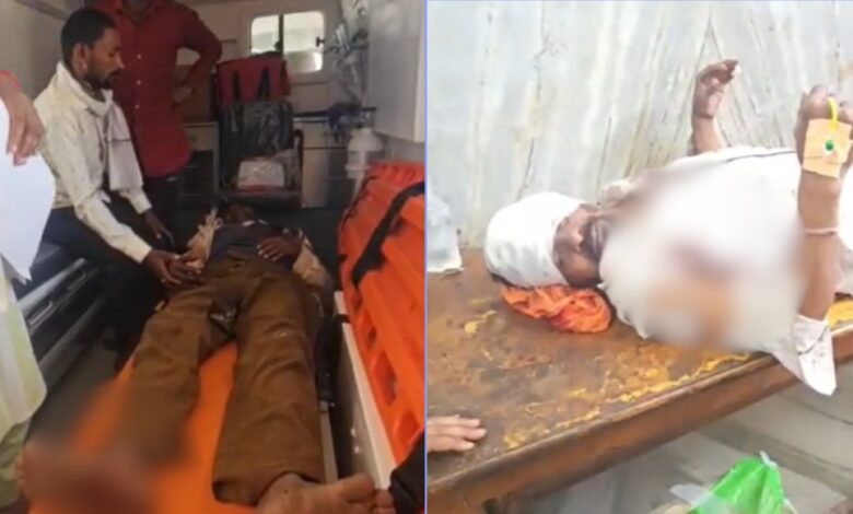 6 भालुओं ने तेंदूपत्ता तोड़ने गए ग्रामीणों पर किया हमला, दो गंभीर