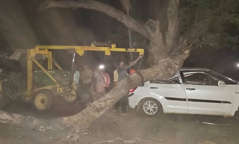 चलती कार पर गिरी डाल