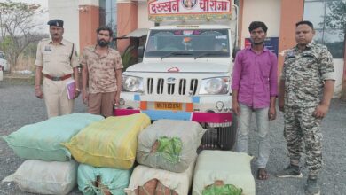 ओडिशा से महाराष्ट्र ले जा रहे सवा करोड़ के गांजे के साथदो आरोपी गिरफ्तार