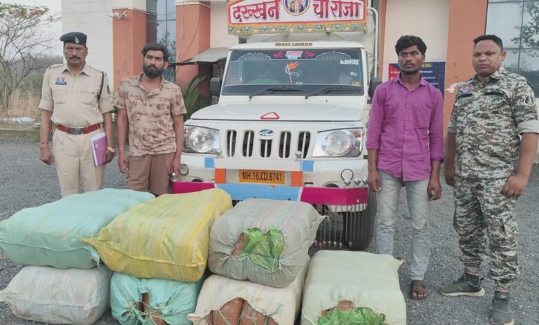 ओडिशा से महाराष्ट्र ले जा रहे सवा करोड़ के गांजे के साथदो आरोपी गिरफ्तार