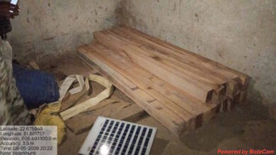 दो लकड़ी तस्कर 2 लाख की साल चिरान के साथ गिरफ्तार