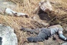 प्रेमी जोड़े ने शिशुपाल पर्वत से लगाई छलांग