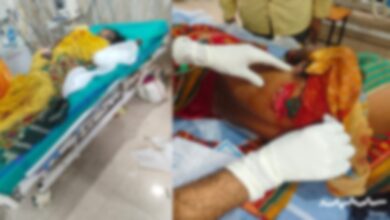तेंदूपत्ता तोड़ने गई महिलाओं पर सूअर ने किया हमला 5 गंभीर