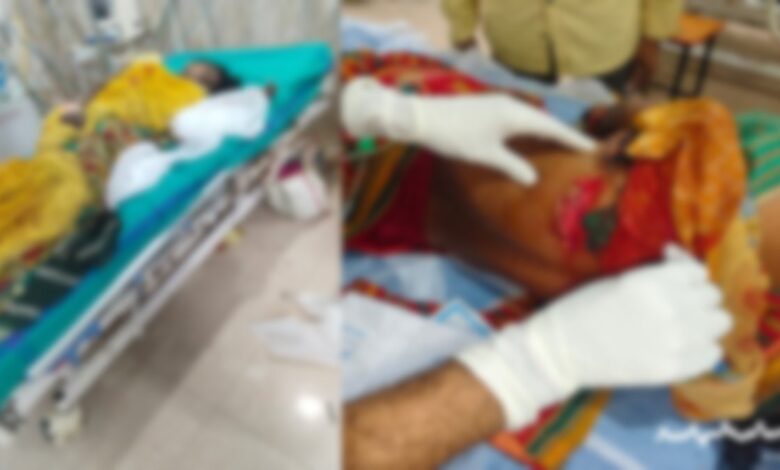 तेंदूपत्ता तोड़ने गई महिलाओं पर सूअर ने किया हमला 5 गंभीर