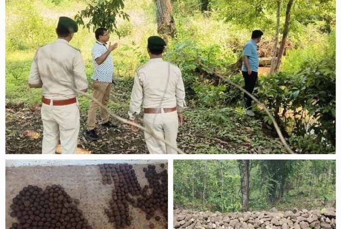 बस्तर में मानसून से पहले सीड बॉल तकनीक व जल संरक्षण संरचनाएं संजीवनी साबित होंगी – गुप्ता