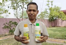 किसान हीरा ने रासायनिक खाद छोड़ अपनाया नैनो यूरिया और डीएपी,सुधरी मिट्टी की सेहत और बढ़ा उत्पादन