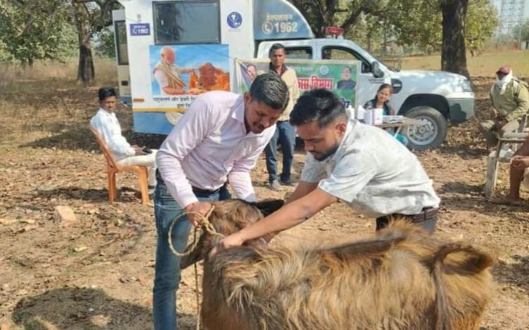 एक कॉल पर घर पहुंच रही पशु चिकित्सा सेवा, ग्रामीण पशुपालकों के लिए वरदान बनी मोबाइल यूनिट