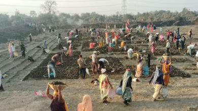 मनरेगा अंतर्गत प्रदेश में प्रतिदिन 11 लाख से अधिक श्रमिकों को रोजगार, 57 प्रतिशत महिलाएं