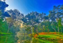 विश्व पर्यावरण दिवस 2026 : हरित विकास, जल संरक्षण और जनभागीदारी से पर्यावरणीय समृद्धि की ओर बढ़ता छत्तीसगढ़