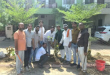 साहू समाज प्रदेश अध्यक्ष के आह्वान पर आई.टी. सेल प्रकोष्ठ के पदाधिकारियों ने किया वृक्षारोपण