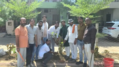 साहू समाज प्रदेश अध्यक्ष के आह्वान पर आई.टी. सेल प्रकोष्ठ के पदाधिकारियों ने किया वृक्षारोपण साहू समाज प्रदेश अध्यक्ष के आह्वान पर आई.टी. सेल प्रकोष्ठ के पदाधिकारियों ने किया वृक्षारोपण