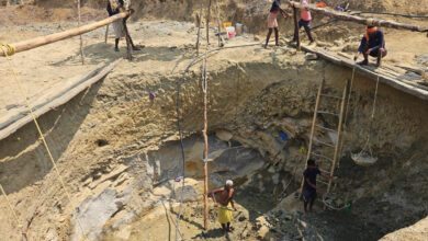 नवा तरिया और आजीविका डबरी से मजबूत होगा जल संरक्षण का आधार