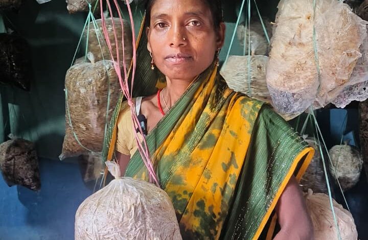 फोटो कॉपी और मशरूम व महुआ व्यवसाय से बबली यादव की बढ़ी आय फोटो कॉपी और मशरूम व महुआ व्यवसाय से बबली यादव की बढ़ी आय