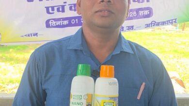 नैनो उर्वरकों के वैज्ञानिक उपयोग से बढ़ेगा उत्पादन, मिट्टी की उर्वरता भी रहेगी सुरक्षित नैनो उर्वरकों के वैज्ञानिक उपयोग से बढ़ेगा उत्पादन, मिट्टी की उर्वरता भी रहेगी सुरक्षित