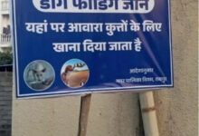 स्ट्रीट डॉग के लिये निगम ने चिन्हांकित किये फीडिंग जोन