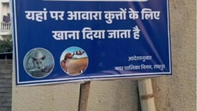 स्ट्रीट डॉग के लिये निगम ने चिन्हांकित किये फीडिंग जोन