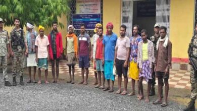 नारायणपुर में गोवंश वध के 12 आरोपी गिरफ्तार