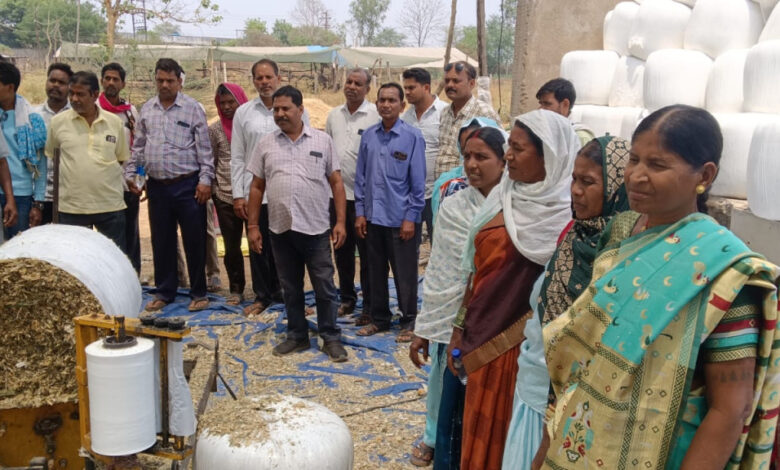 किसानों की अतिरिक्त आमदनी का जरिया है दुग्ध उत्पादन