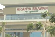 छत्तीसगढ़ वन विभाग में 4 आईएफएस अधिकारियों को मिली नई जिम्मेदारी