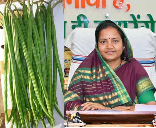 सुपोषण वृक्ष-मुनगा बनेगा जनआंदोलन : मंत्री राजवाड़े ने जनप्रतिनिधियों से किया व्यापक पौधरोपण का आह्वान सुपोषण वृक्ष-मुनगा बनेगा जनआंदोलन : मंत्री राजवाड़े ने जनप्रतिनिधियों से किया व्यापक पौधरोपण का आह्वान