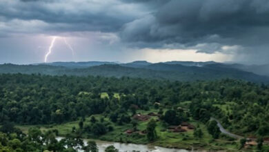 16 जून को मानसून बस्तर से हाेते हुए छत्तीसगढ़ में करेगा प्रवेश 