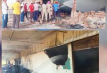 निलंबित वन रक्षक ने कहा, मुझे बलि का बकरा बनाया गया, निलंबन पर पुनर्विचार की मांग
