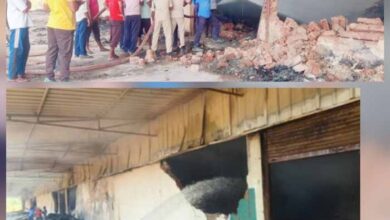 निलंबित वन रक्षक ने कहा, मुझे बलि का बकरा बनाया गया, निलंबन पर पुनर्विचार की मांग