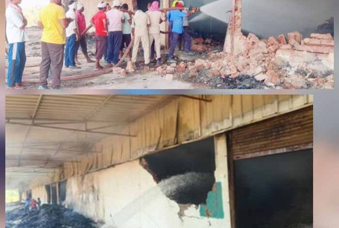 निलंबित वन रक्षक ने कहा, मुझे बलि का बकरा बनाया गया, निलंबन पर पुनर्विचार की मांग