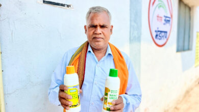नैनो डीएपी और नैनो यूरिया ने बढ़ाई पैदावार, कम लागत में अधिक पैदावार और मृदा स्वास्थ्य को मिल रहा लाभ