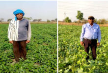 बेमेतरा जिले में दलहन के रकबे में चार गुना की वृद्धि