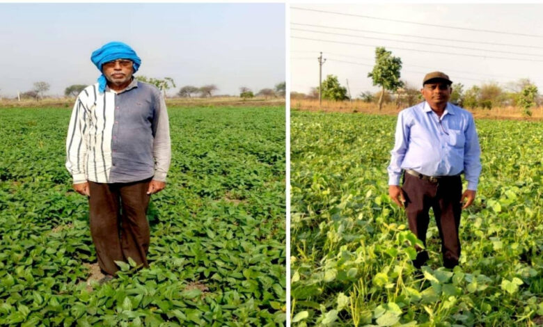 बेमेतरा जिले में दलहन के रकबे में चार गुना की वृद्धि बेमेतरा जिले में दलहन के रकबे में चार गुना की वृद्धि