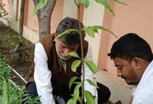 भाजपा प्रदेश अध्यक्ष किरण देव ने रायपुर निवास पर किया पौधरोपण