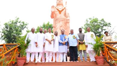 मातृशक्ति एवं प्रकृति के प्रति श्रद्धा का अनुपम संगम : साय
