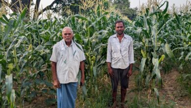 आधुनिक खेती की ओर कदम : नैनो उर्वरक और स्वीट कॉर्न ने बदली रामचंद्र की किस्मत