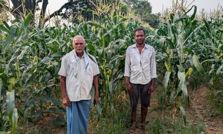 आधुनिक खेती की ओर कदम : नैनो उर्वरक और स्वीट कॉर्न ने बदली रामचंद्र की किस्मत