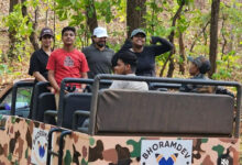 भोरमदेव जंगल सफारी बनी छत्तीसगढ़ के इको-टूरिज्म की नई पहचान