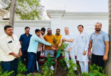भाजपा प्रदेश कार्यालय में विश्व पर्यावरण दिवस पर हुआ पौधरोपण