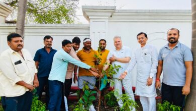 भाजपा प्रदेश कार्यालय में विश्व पर्यावरण दिवस पर हुआ पौधरोपण