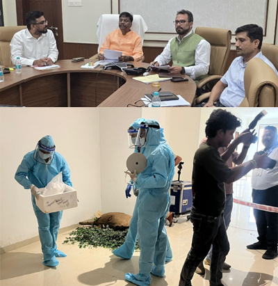 हाथियों के संरक्षण की दिशा में छत्तीसगढ़ की बड़ी पहल, वन मंत्री के मार्गदर्शन में वन्यजीव फोरेंसिक प्रशिक्षण सम्पन्न हाथियों के संरक्षण की दिशा में छत्तीसगढ़ की बड़ी पहल, वन मंत्री के मार्गदर्शन में वन्यजीव फोरेंसिक प्रशिक्षण सम्पन्न