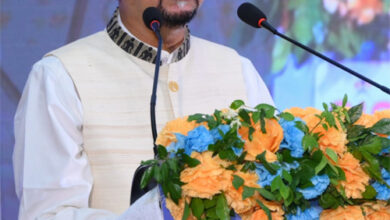आर्टिफिशियल इंटेलिजेंस सहायक है, मानव बुद्धि का विकल्प नहीं – डेका