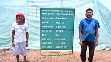 संरक्षित खेती से आर्थिक रूप से सशक्त बने जशपुर के किसान अनारथ साय संरक्षित खेती से आर्थिक रूप से सशक्त बने जशपुर के किसान अनारथ साय