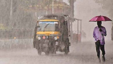बस्तर में प्री-मानसून की बारिश जारी, अगले 5 दिन ऐसा ही रहेगा मौसम