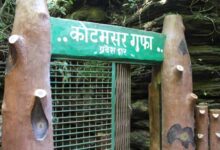 कोटमसर गुफा का प्रवेश द्वार 15 जून को बंद हो जाएगा